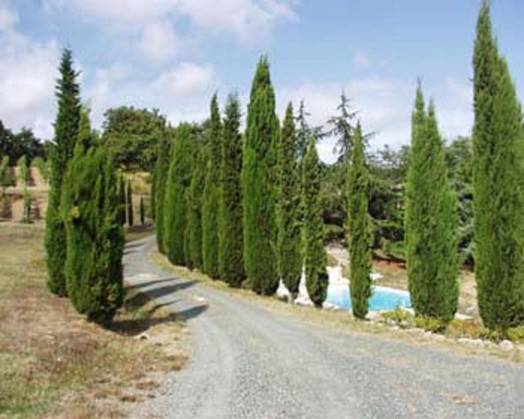 Hostal Sassi Bianchi Sensano Exterior foto